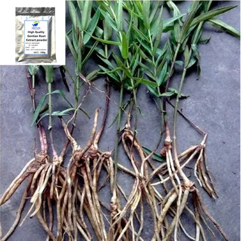 

High quality gentian root extract powder festival glitter health supplements dizziness bitter mouth body side ache kidney diseas