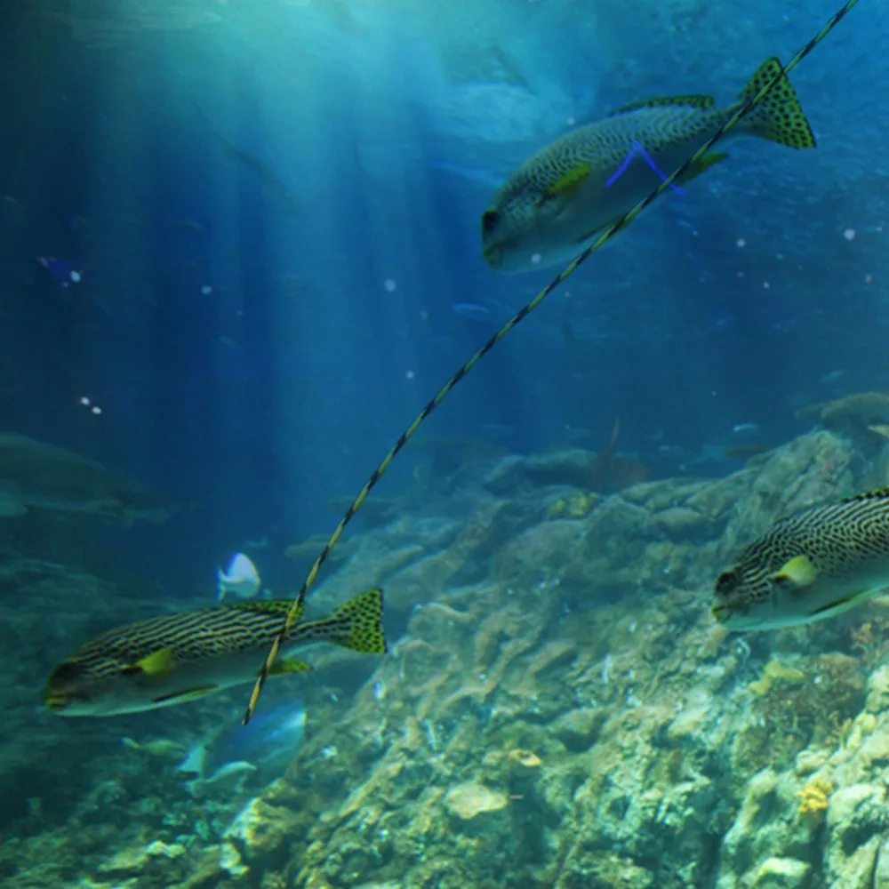 303141_no-logo_303141-1-13-g