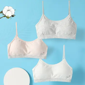 

New Style Girls Bra Students Developing Within The Clothing 12-16 Girl'S Seamless Vest Silk Breathable Manufacturers Direct Sell