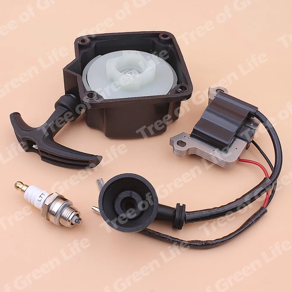 IMG_5982