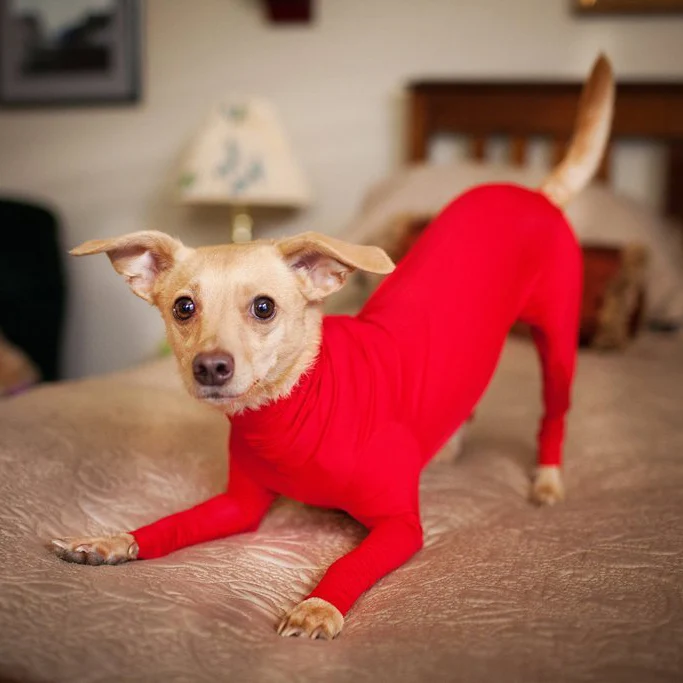 Защитный Комбинезон Собака Груминг содержит выпадение шерсти собаки уменьшает