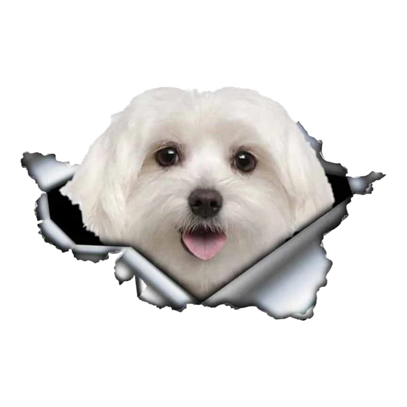 

Self-adhesive Decal Poodles Car Sticker Waterproof Auto Decors on Bumper Rear Window B0100
