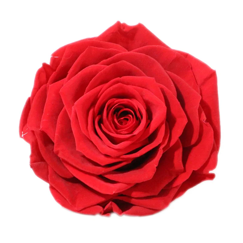 AKARZ, известный бренд, натуральное эфирное масло розы, Отбеливающее, против старения, морщин, расслабляющее, для удаления пигментации, масло розы берибери