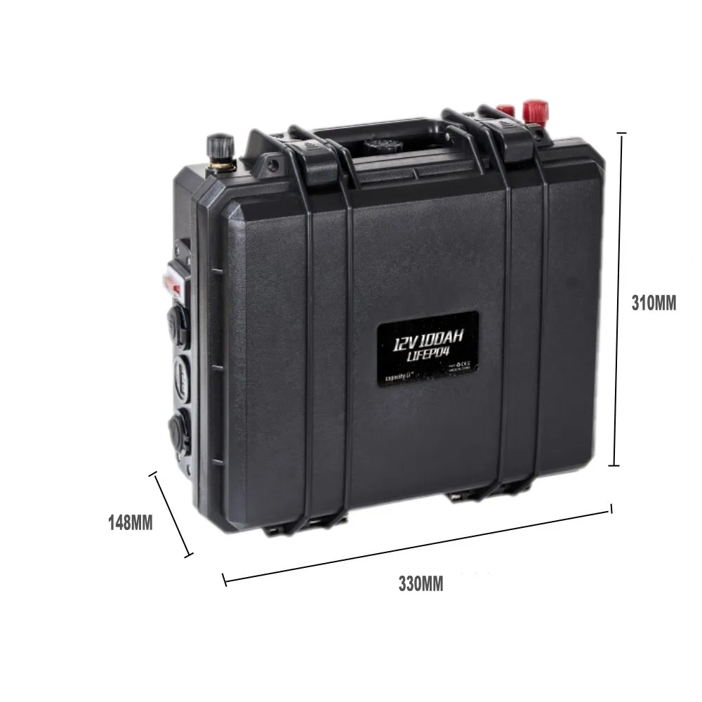 12V 100ah lifepo4 перезаряжаемый аккумулятор BMS водонепроницаемый Солнечный батарейный