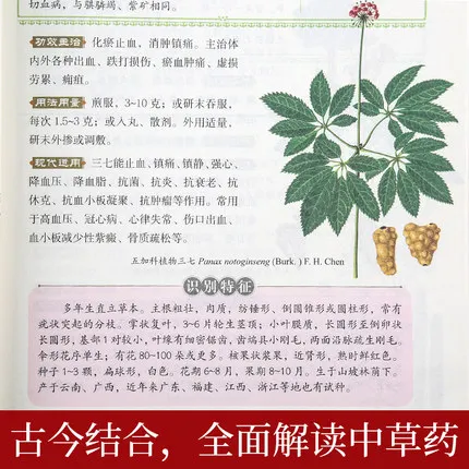 Компендиум Materia Medica ли шичжэнь полные работы раскраска книги цветов издание китайские книги по медицине