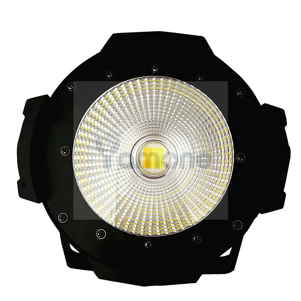 100W COB 13