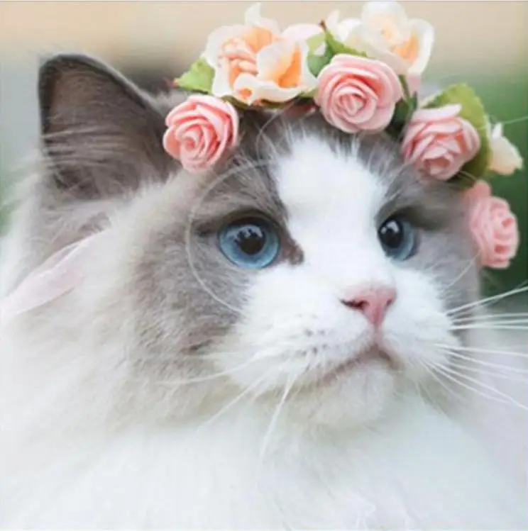 36020190327214603197