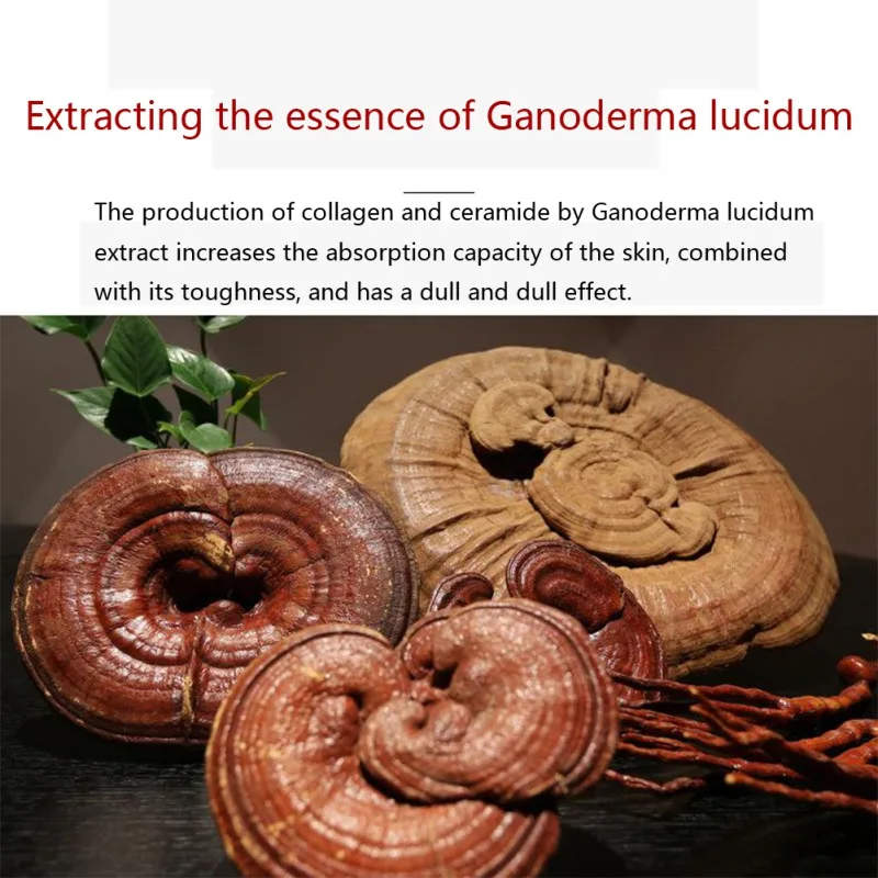 Ganoderma Сыворотка увлажняющая питательная кожа осветляет тон кожи лица отбеливающая эссенция