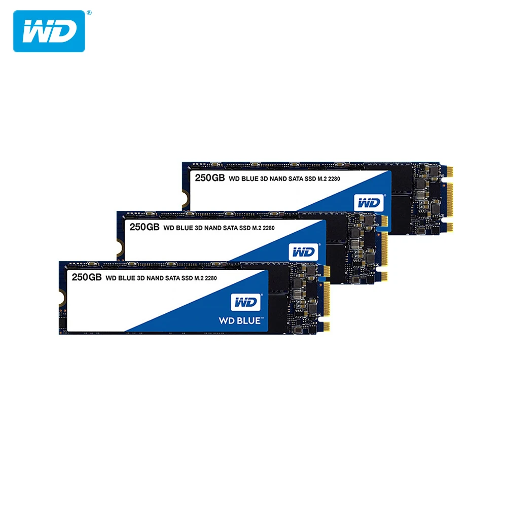 Жесткий диск Western Digital WD Blue SSD 250 ГБ 500 1 ТБ 2 ТБ Внутренний твердотельный жесткий диск SSD M.2 2280 560 МБ/с. для ноутбука/ПК