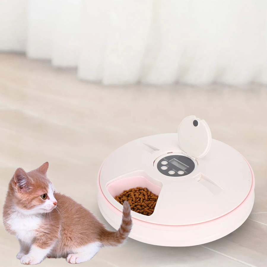 outdoor automatic cat feeder with timer