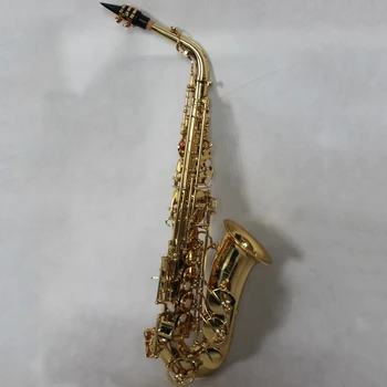 

High Grade Gold lacquer Low C key dual arms Alto Saxophone
