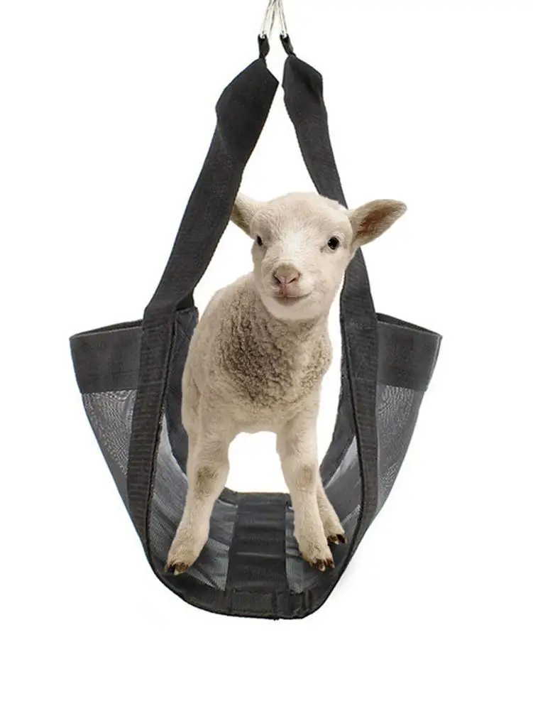 Weight Scale Sling Adjustable Animal Hanging Lamb Baby Calf Sling