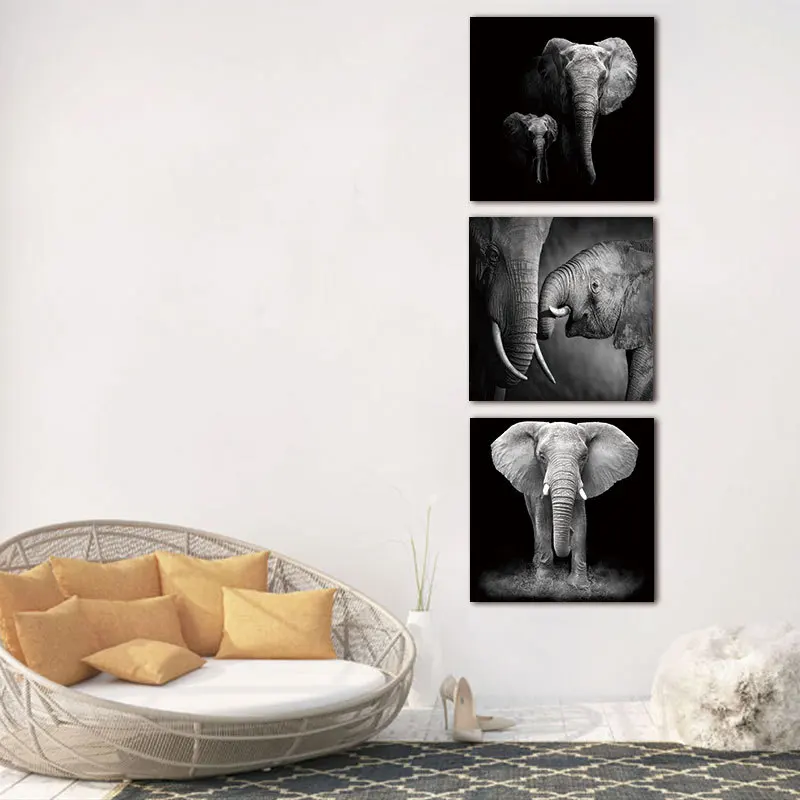

Cross Border Micro Jet Canvas Decoration Triple Black And White with Pattern Elephant Wish Amazon Decoration Triple Airbrushed P