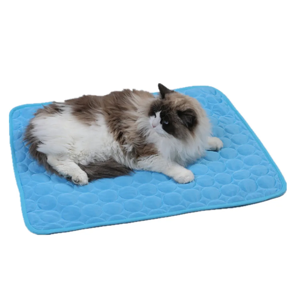 13757149221_122352460