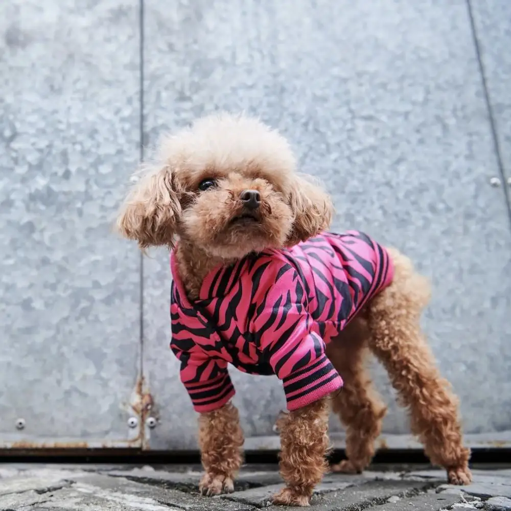 Разнообразие в уличном стиле тедди закон боевые Keji стеганый китайский год осенне-зимняя теплая одежда для собак, куртка, детская одежда
