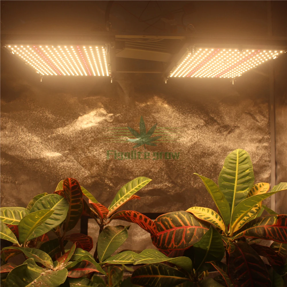 100*100*200cm Grow tent Kit Indoor System with LED quantum board grow light