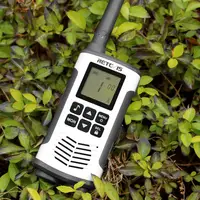 Walkie Talkie