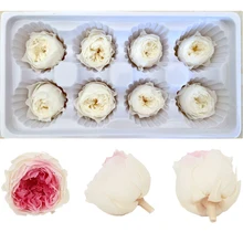 Перо вечные цветы перо роза Остина консервированные цветы бесморская роза DIY Свадьба вечная жизнь цветок Материал Подарочная коробка уровень А