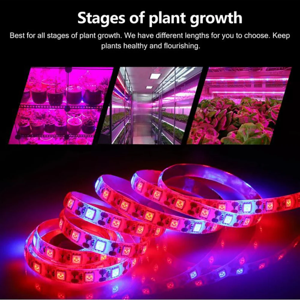 LED Phyto Lamps 5V Full Spectrum LED Grow Light 5050 Strip Fitolampy Grow Lights USB/battery For Greenhouse Hydroponic plant
