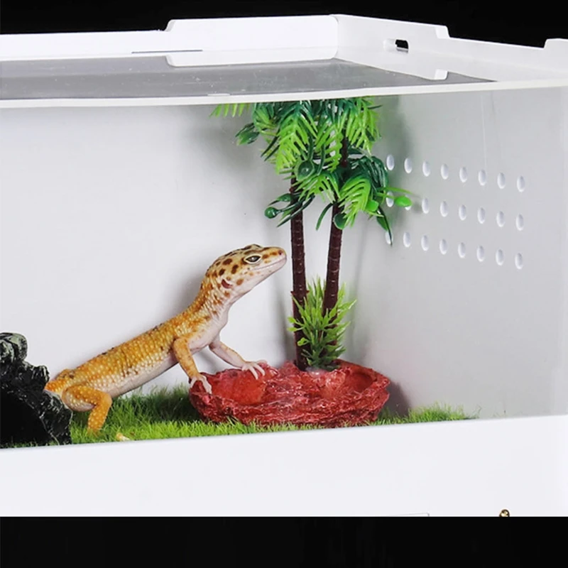 boîte pour conteneurs en acrylique étages pour pour petit animal domestique