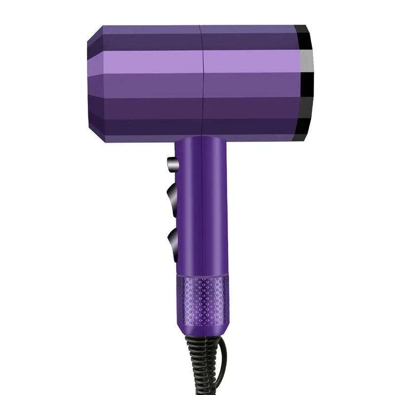 

Professional Pet Hair Dryer Variable Speed Temperature Control Mute Drying Cat Dog Blow Dry Artifact Water Blowing Machine