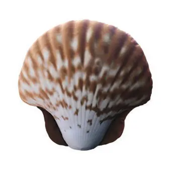 

2 In 1 Soft Plush Shell Pillow Sleeping Blanket Artificial Seashell Shape Waist Back Pillow Blanket Dolls Home Decor Textile