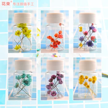 

Flower Invitation Brazil Star Flower 10pcs_diy handmade resin flower material plants dried flowers