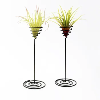 

3pcs Iron Air Plant Stand Container Tillandsia Holder Tabletop Plant Pot Display Rack Vase with Iron Base (Black)
