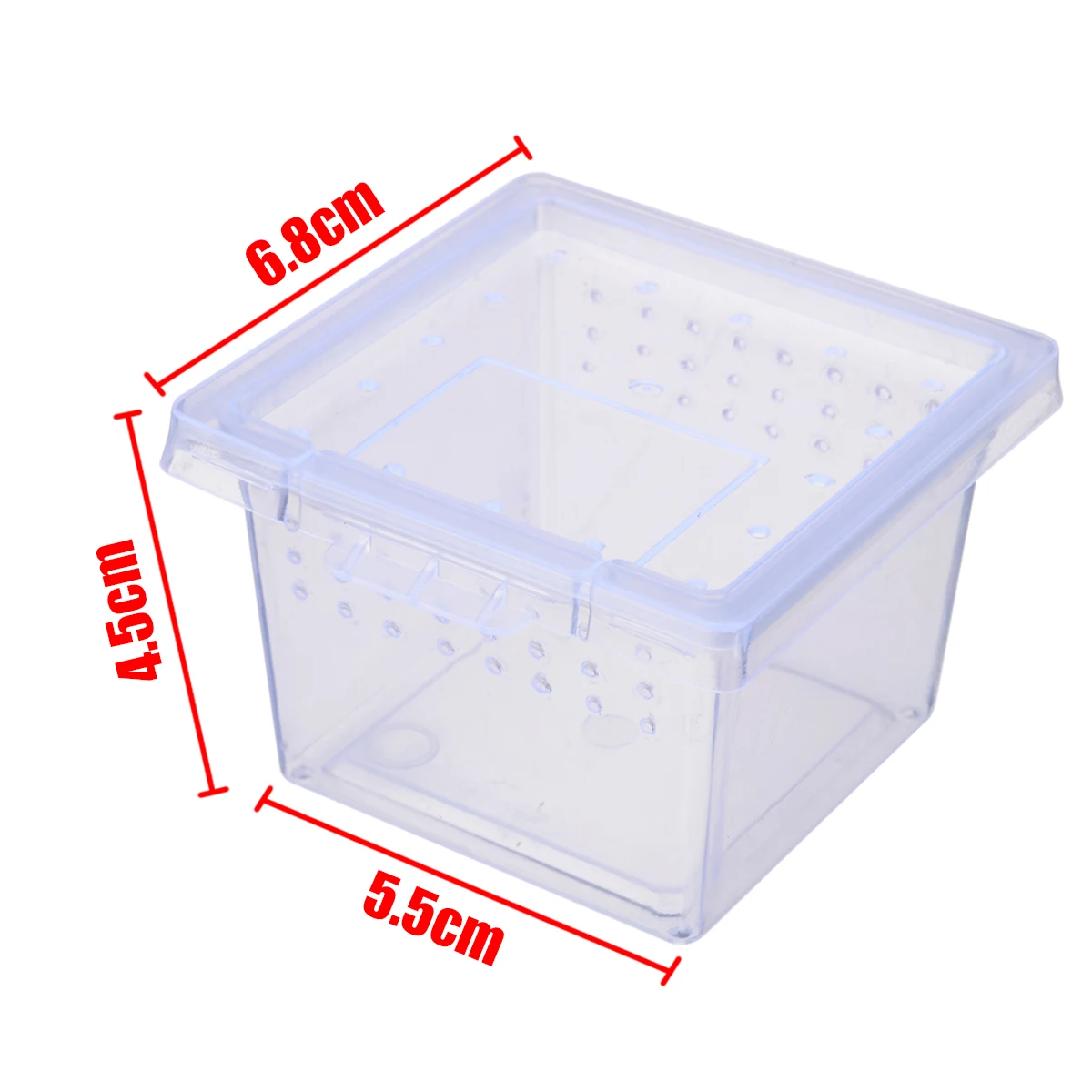 Clear Plastic Insect Reptile Box Spider Snake Transport Breeding Feeding Case