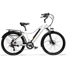 LEOPARD3.0 хорошего качества 26 ''Электрический грузовой велосипед