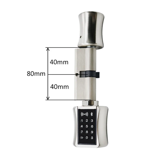 Double Cylinder Smart Lock Euro Cylinder Smart Lock Cylinder Key
