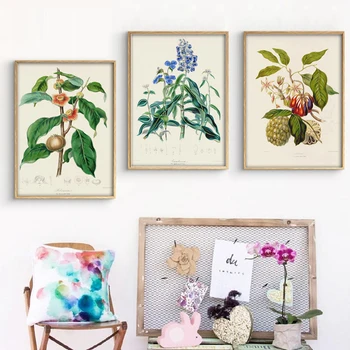

Vintage Botanical Art Painting Worldwide Vegetation Illustrations Posters Prints Home Living Room Wall Decor Leaf Canvas Picture