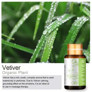 

Essential Oils Aromatherapy Oil for aroma Diffuser Humidifier Fragrance of Lavender Tea Tree Rosemary Lemongrass Orang