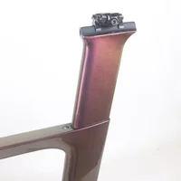 Gold Purple Chameleon Paint T800 Toray Carbon Fiber BSA 49/51/54/57/60cm Size Aero Track Frame TR013 With Front Brake Hole