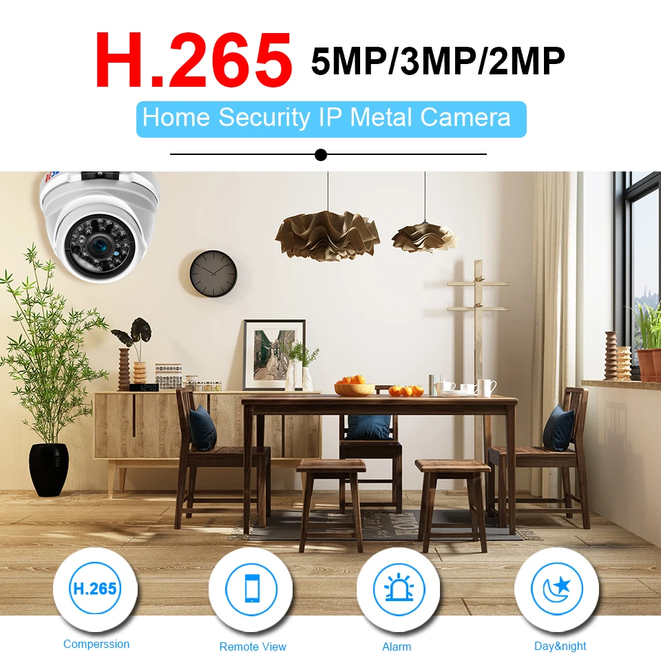 白色金属海螺H.265_01