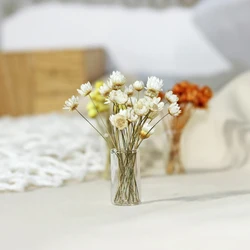Accessoires miniatures pour maison de poupée, modèle Mini étoile fleur avec bouteille en verre, Simulation Vase, jouets, décoration, 1/12 