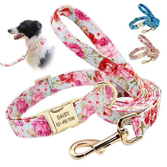 Personalized Printed Collar and Leash for Dog
