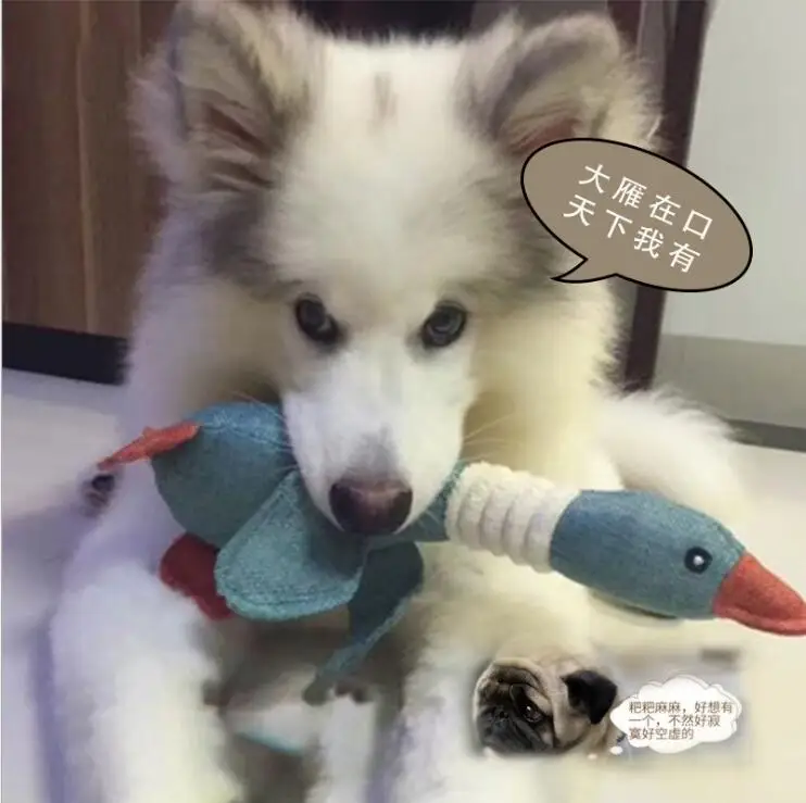 QQ截图20190503165740