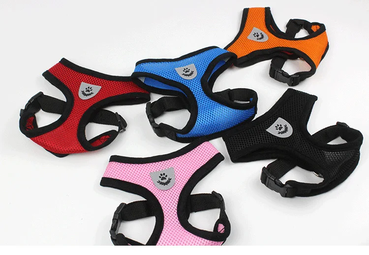 8805249176_609020808