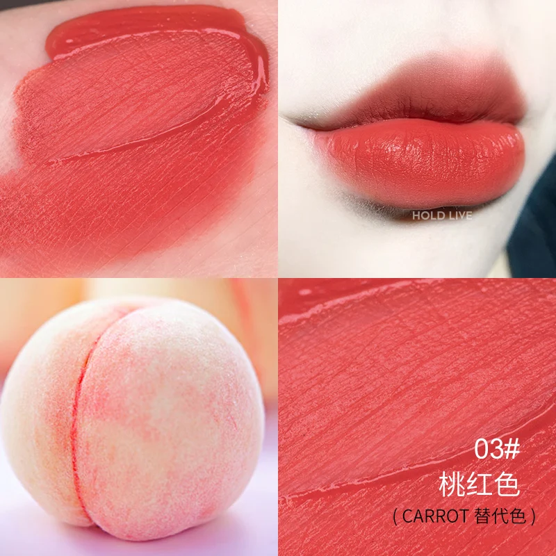 Hold live velvet matte lip gloss long lasting waterproof air cushion pigment sexy red tomato orange peach liquid lipstick BN201