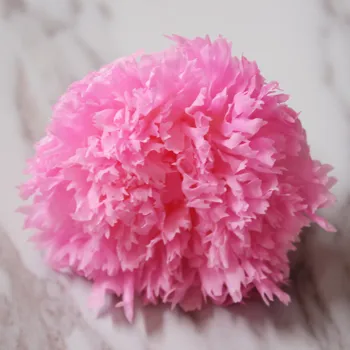 

For Mother's Day Preserved Flower Carnation Head Paper Box factory Outlet High-quality