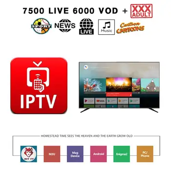 

World IPTV m3u subscription 1 Year for portugal Spain Fre Italy USA dutch Iptv m3u Subscription for Smart TV Android Box