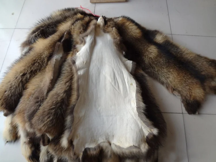 Raccoon skin (3)