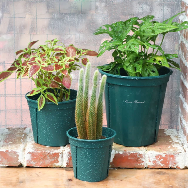 2Pcs Rooting Control Flower Pot With Tray Thickened Succulent Planting Breathable Pot Home Garden Seeding Nursery Container 5