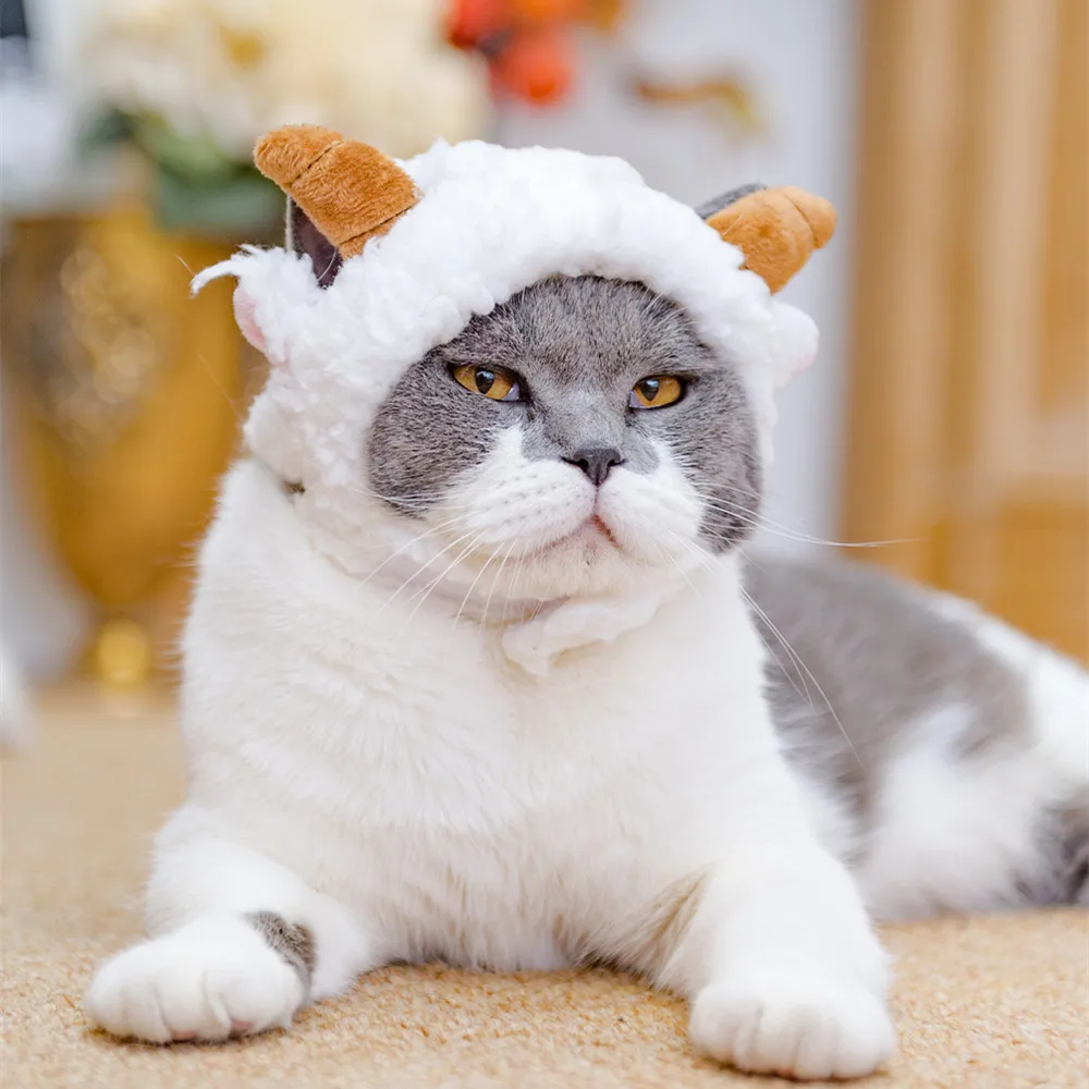 Handmade Knitted maid Hat for Cat, Headgear, Cat Headdress, Pet  Accessories, British Shorthair Ragdoll, Cute Stuff Cosplay