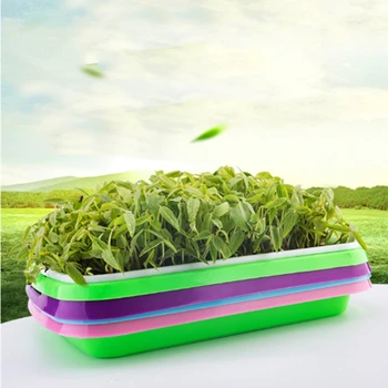 

NEW Plastic Nursery Pots Seed Sprouter Tray Soil-Free Big Capacity Wheatgrass Grower Seedling Tray Sprout Plate Hydroponic