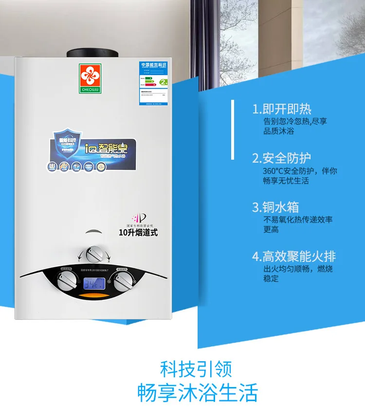 8 L Stove-piped Gas Liquefied Gas Water Heater Factory Direct Selling Special Offer JSD16-D