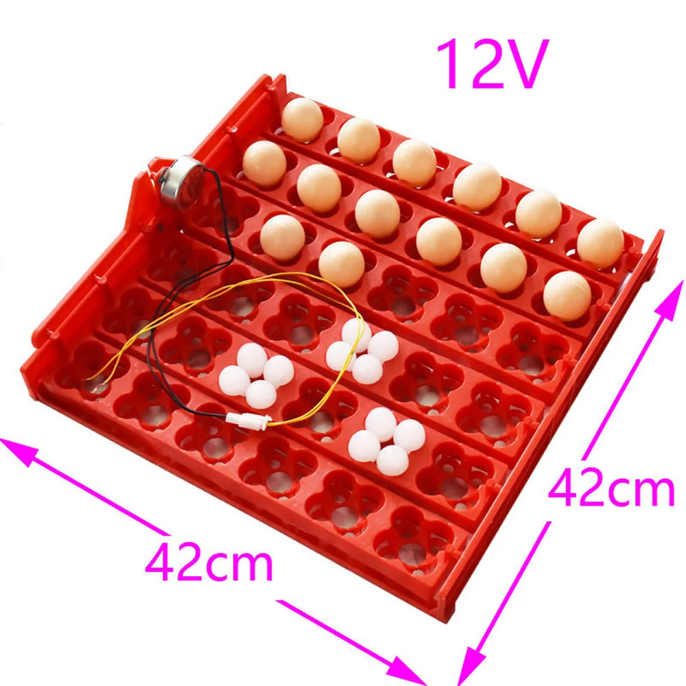 DC12V