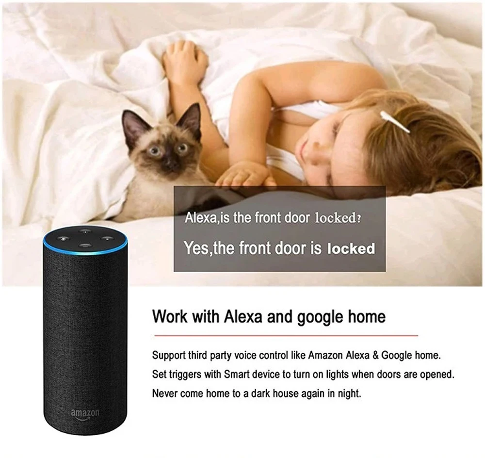 High Quality Segurança e Proteção