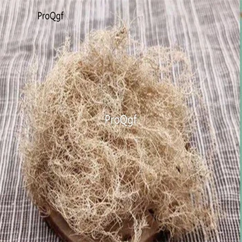 

Ngryise 250Gram A Set Usnea diffracta